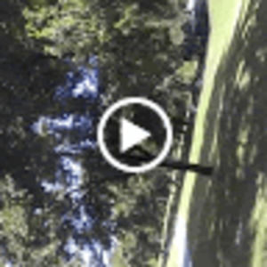 Meet your Posher, Stanley